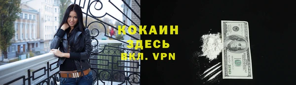 ПСИЛОЦИБИНОВЫЕ ГРИБЫ Аркадак