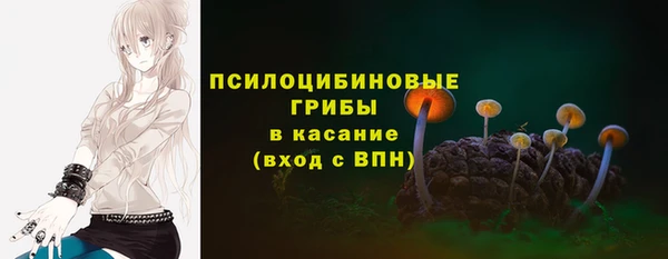 ПСИЛОЦИБИНОВЫЕ ГРИБЫ Аркадак